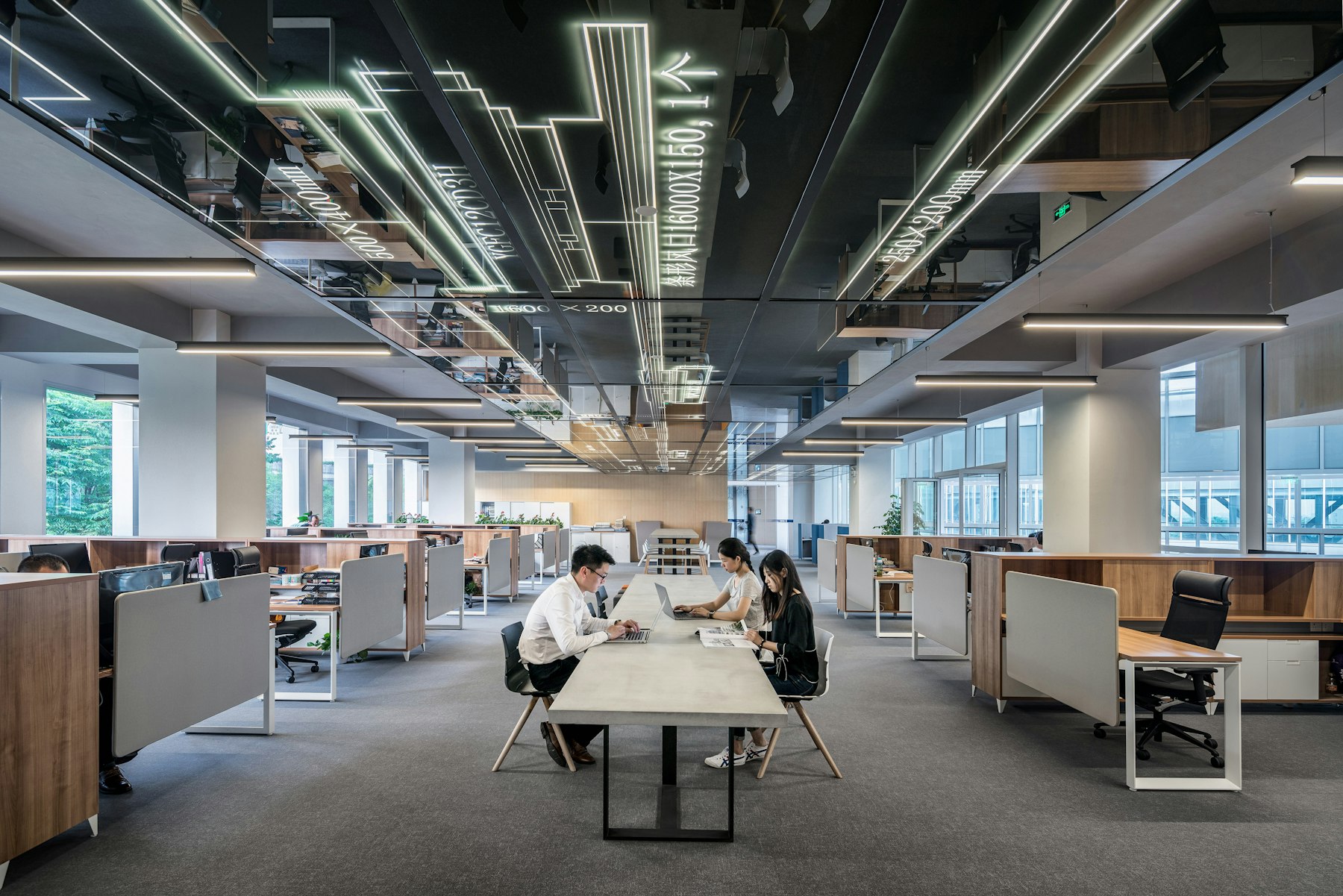 An open-plan office where continuous linear luminaires run the length of the ceiling above the desks